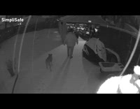 Man slips down snow ground during snowstorm 