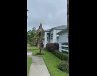 Tik Toker who asks rich people what they do for a living makes it on the news 