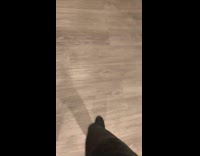 Guy cant find keys pasta everywhere