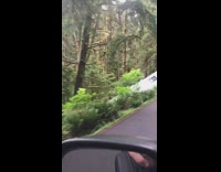 RV found flipped off side of road 