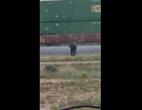 Collab IITW - Women black dress films train pass by