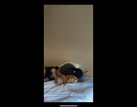 Guy pushes girl out of way runs to cat