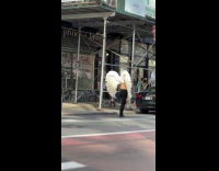 Collab WINY - Shirtless man with wings on the sidewalk