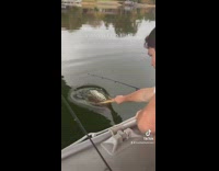 Guy picks up and pokes unknown object in water 