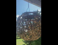 Spider made web home inside ball lantern