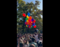 Dog wear Up house costume with balloons