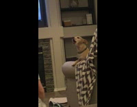 Dog and baby boy have screaming match 