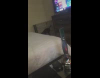 Black dog inside pen squats to poop 