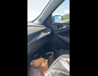 Mice pops out roams around car while man drives