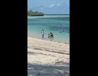 Woman sit chair stretch arms enjoy beach
