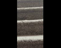 Top part of cat head over stairs