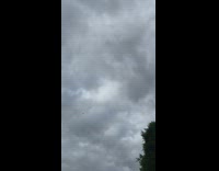 Woman gray dress photo shoot sidewalk narration