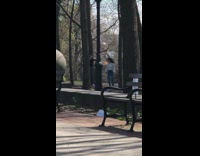 Two women dance tiktok forest public park