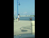 Woman twerk kneel pose pier black underwear