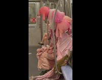 Man groans on train wearing cow utters 