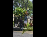 Blue shirt guy holds photographs acai bowl 