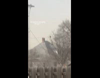 Squirrel struggles to cross cable lines