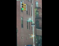 Person throws stuffed animal toy out window 