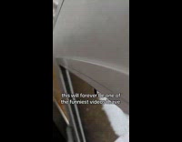 Dog slips on stairs snow