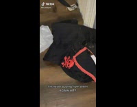 Opening package from shein that is infested with bugs