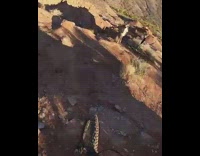 Biker rides through desert cliffs