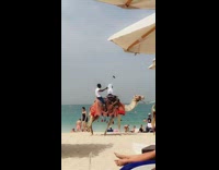 Tourist takes selfie on camel ride