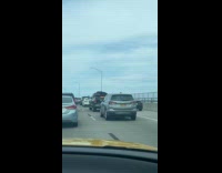 Taxidermy bear on back of pickup truck