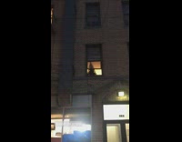 Person Sees Christmas Tree Still Up in Apartment 