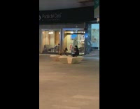 Dog posing for photo in plaza