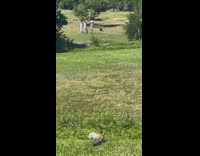 Four people in white outfit jump shot at the park