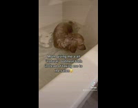 Dog in tub unsure about oatmeal bath 