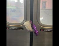 Umbrella and Bag Are Caught Between Subway Doors 