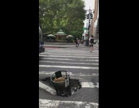 Net trash can in a pothole crosswalk