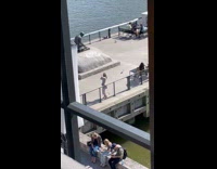 Woman dress lean on bridge railings bay