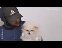 Guy hug serious white dog war flashback