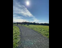 Woman did a headstand on top of a rock