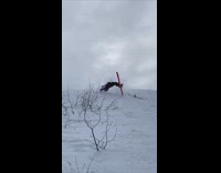 Skier backflips uphill and fails in snow, red skis