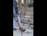 Man feed squirrel jump on his leg