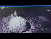 Security cam of guy who falls after hopping fence