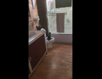 Black kitten sits on toilet 