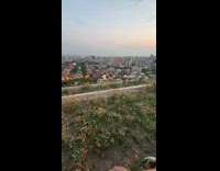 Collab IITW - Couple tiktok dance partner flower terraces