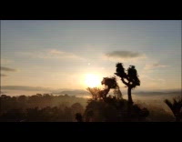 Collab PubityPets - Thick Fog Covers Mountains as Sun Rises