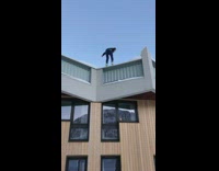 Guy does double backflip from rooftop snow 