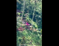 Collab IITW - Woman in violet dress swings near the cliff