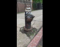 Fake eyes on fire hydrant