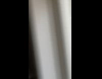 Dog whimper look at deer outside house