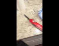 Woman sings happy birthday to dog drops cake