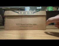 Pet cat inside the box catches the filmers finger