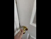 Dog dresses up as Dobby in costume 