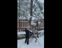 Man hits tree with axe and all snow falls on him